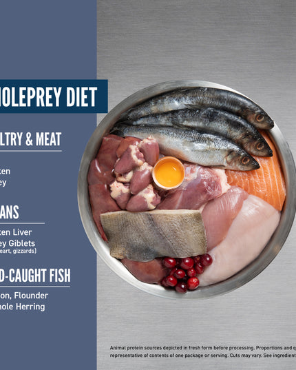 Orijen Guardian8™ Senior Formula Cat Dry Food - 2 Sizes