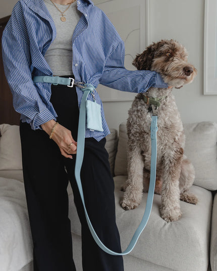 dexypaws® Waterproof Hands Free Dog Leash - Sky Blue