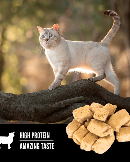 Orijen Grass-Fed Lamb Freeze-Dried Cat Treats 35g
