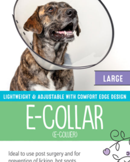 Calm Paws Basics E-Collar