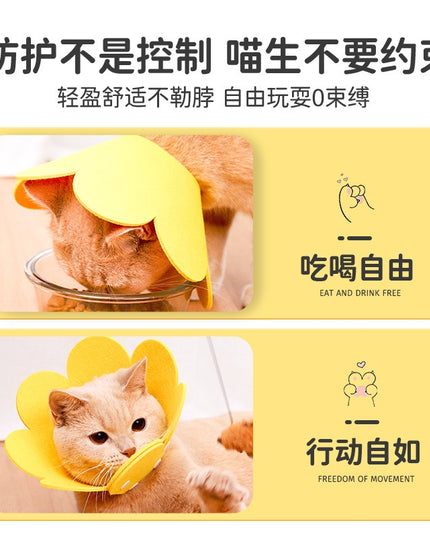Felt Flower Cat E-Collar