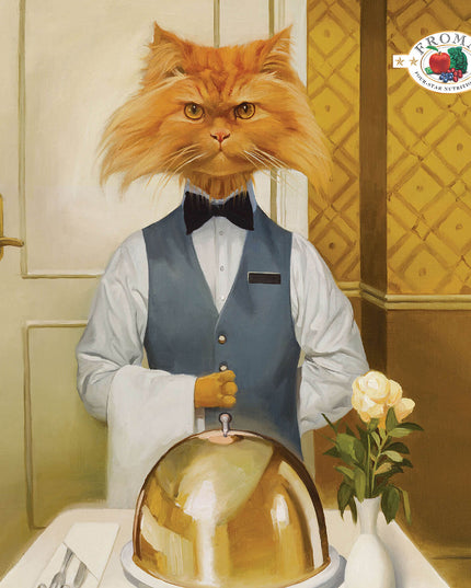 Fromm Four-Star Chicken Pâté Canned Food for Cats - 155g/5.5oz