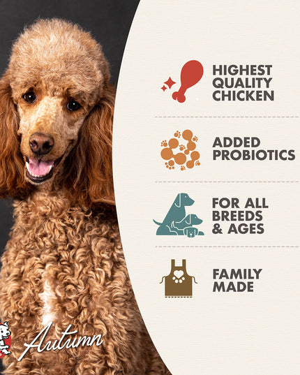 Fromm Four-Star Chicken au Frommage Recipe Food for Dogs - 3 Sizes