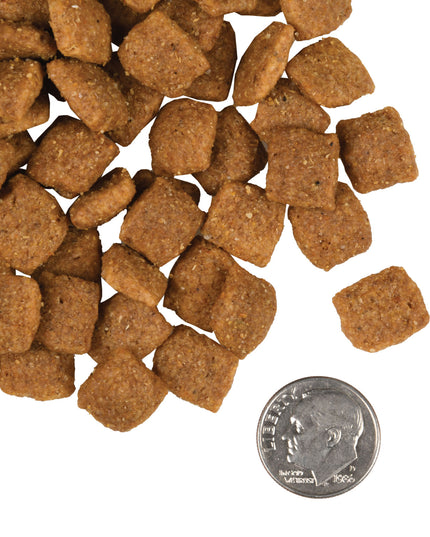 Fromm Gold Adult Food for Dogs - 2 Sizes