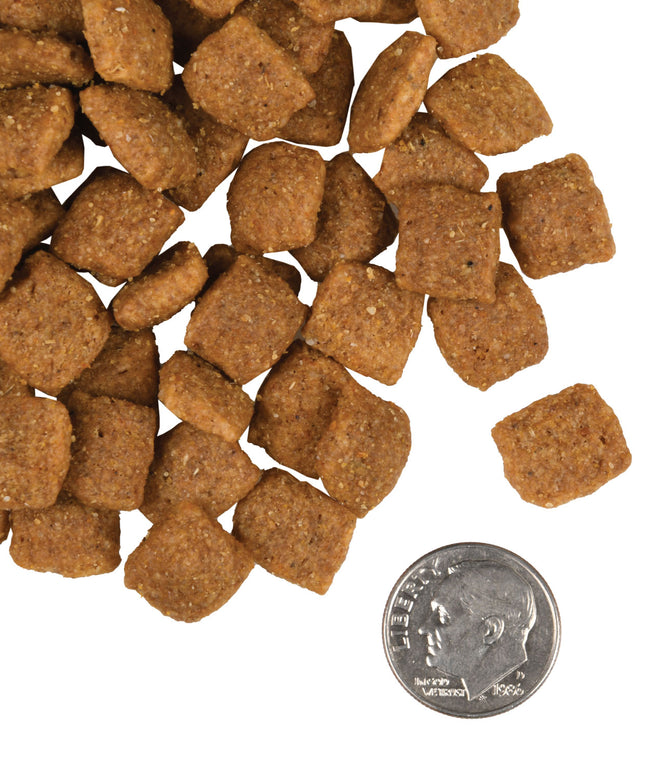 Fromm Gold Adult Food for Dogs - 2 Sizes