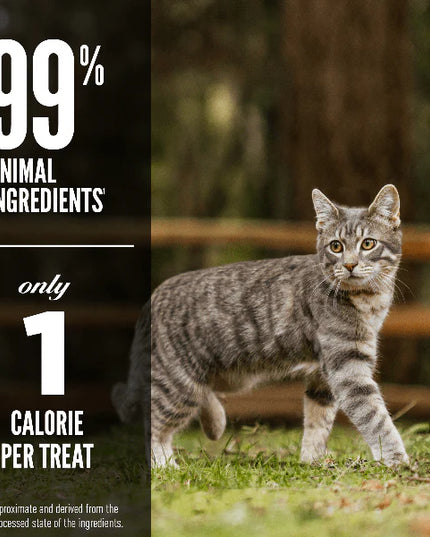 Orijen Original Freeze-dried Cat Treats - 35g
