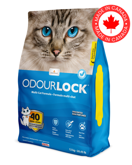 OdourLock Unscented Ultra Premium Clay Cat Litter - 12kg