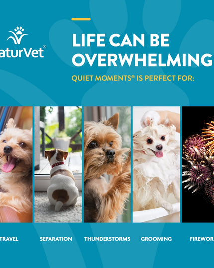 NaturVet Quiet Moments® 含褪黑激素的狗软糖 70ct