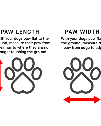 Canada Pooch Waterproof Rain Boots - Pink