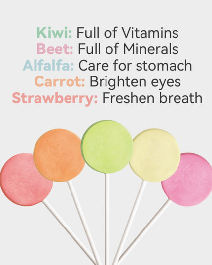 RANOVA Freeze-dried Chicken Lollipop with Paper Stick (5 Flavour)