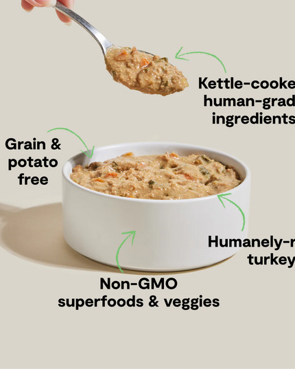 Open Farm Homestead Turkey Rustic Stew Wet Dog Food - 354g/12.5oz