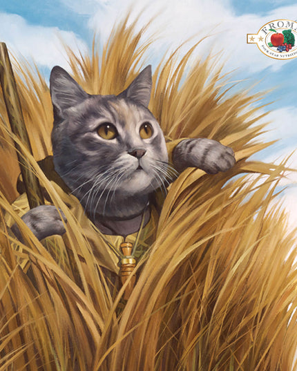 Fromm Four-Star Game Bird Recipe Food for Cats