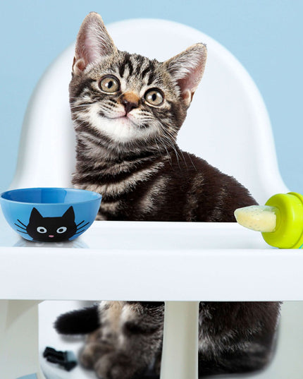 Fromm Gold Kitten Dry Food