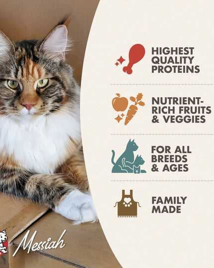 Fromm Four-Star Game Bird Recipe Food for Cats