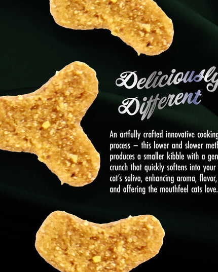 Fromm PurrSnickitty Salmon Splendor Cat Dry Food - 3 Sizes