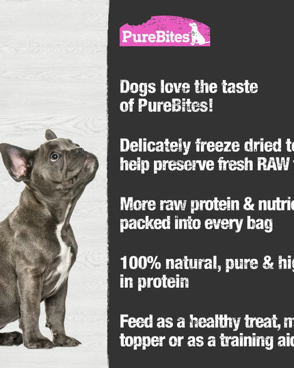 PureBites Freeze Dried Dog Treats - Salmon