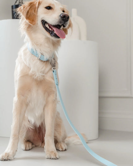dexypaws® Waterproof Sky Blue Dog Collar - 3 Sizes