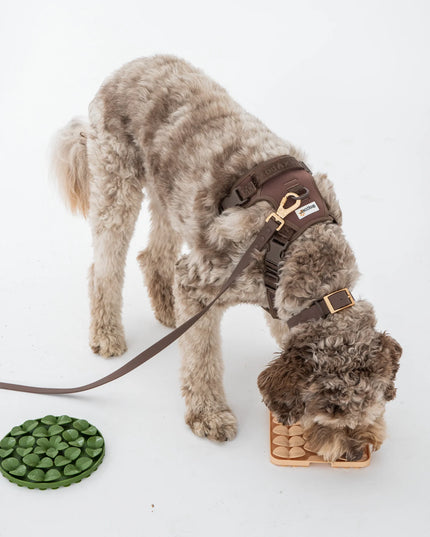 dexypaws® “Hide + Seek” Army Green Circle Enrichment Snuffle Mat