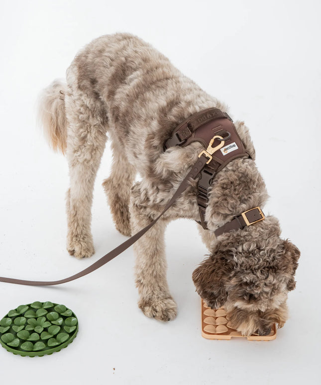 dexypaws® “Hide + Seek” Army Green Circle Enrichment Snuffle Mat