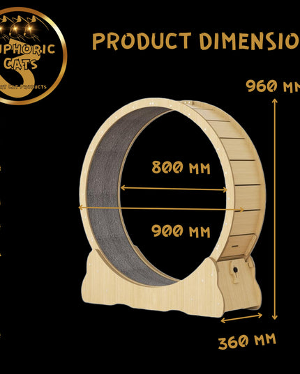 3 Euphoric Cats Cat Wheel