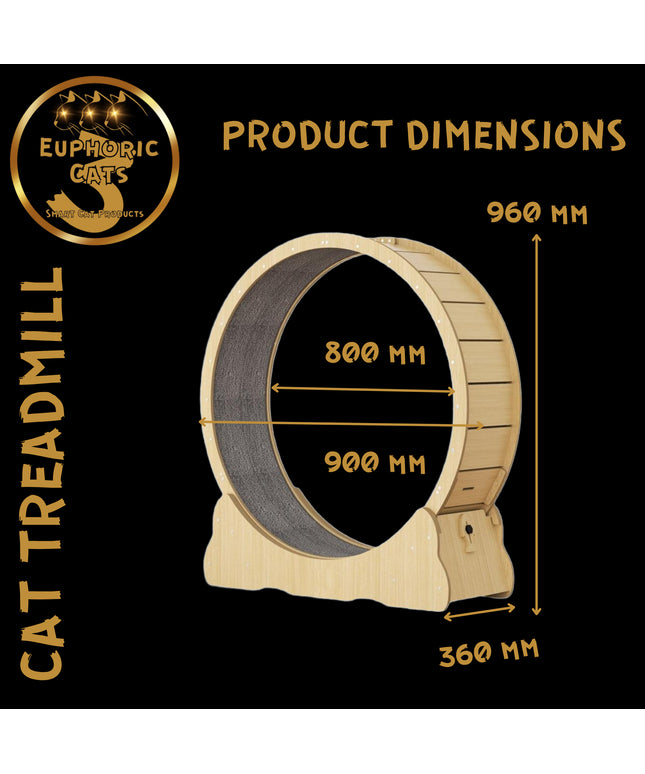 3 Euphoric Cats Cat Wheel