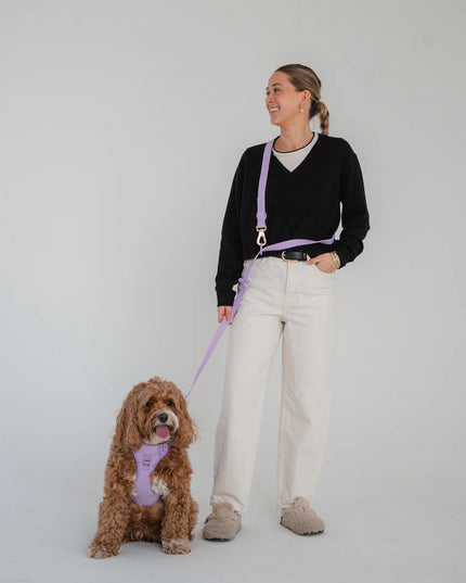 dexypaws® Waterproof Hands Free Dog Leash - Lilac