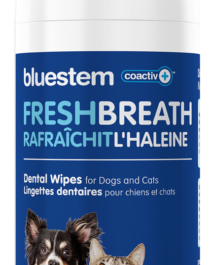 bluestem® Dental Wipes with coactiv+® for Dogs and Cats - 60 Wipes
