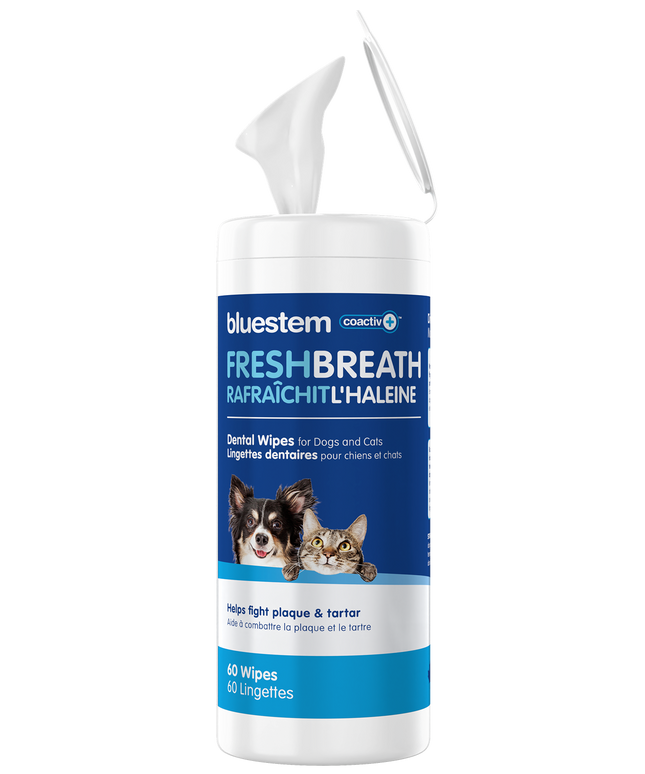 bluestem® Dental Wipes with coactiv+® for Dogs and Cats - 60 Wipes