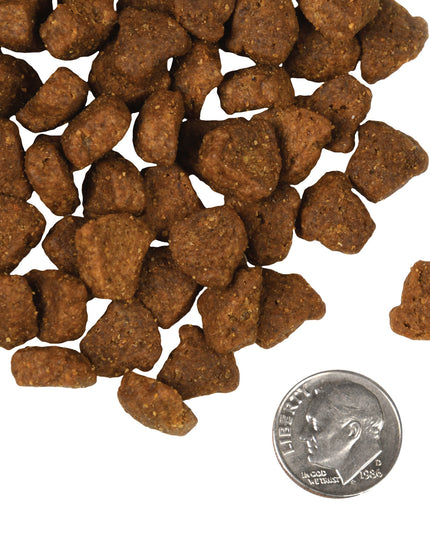 Fromm Four-Star Rancherosa® Recipe Food for Dogs - 3 Sizes