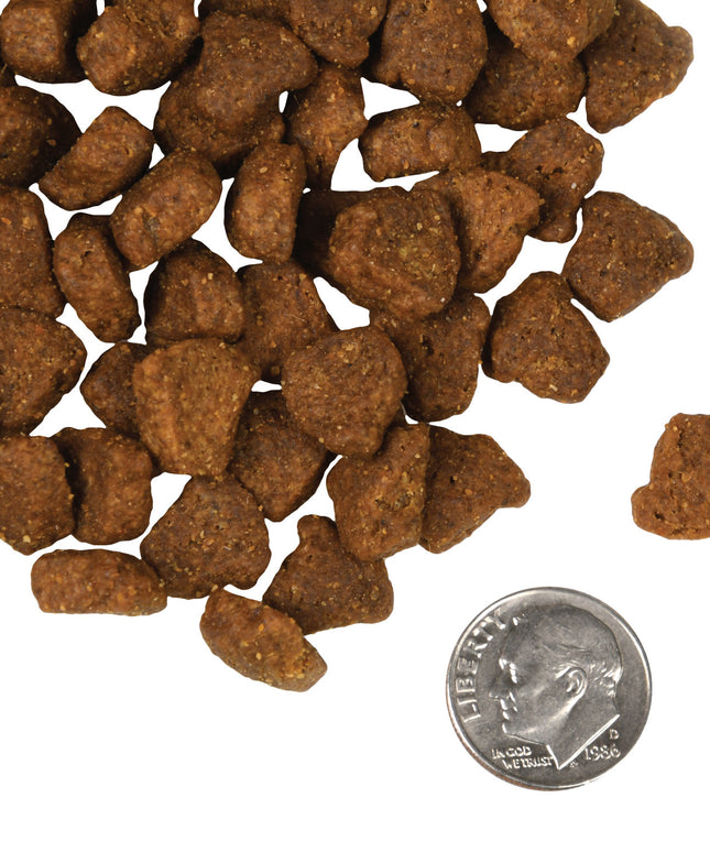 Fromm Four-Star Rancherosa® Recipe Food for Dogs - 3 Sizes