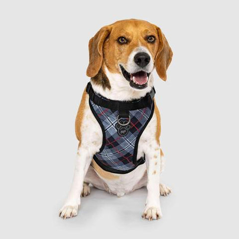 Canada pooch The Everything Harness Water-Resistant Series - Plaid