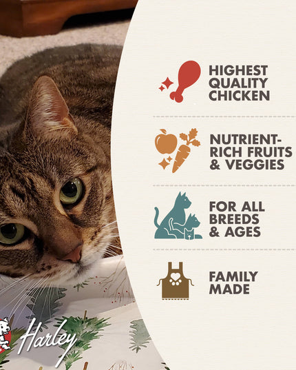 Fromm Four-Star Chicken Au Frommage® Recipe Food for Cats