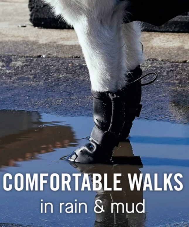 Canada Pooch Waterproof Rain Boots - Yellow