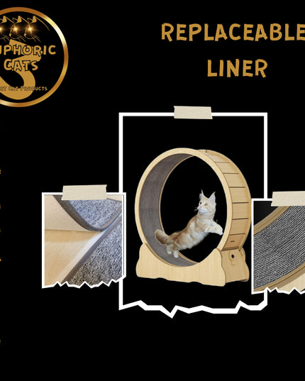 3 Euphoric Cats Cat Wheel