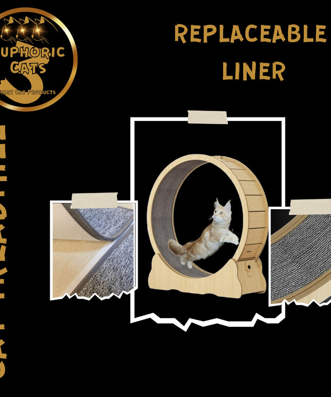 3 Euphoric Cats Cat Wheel