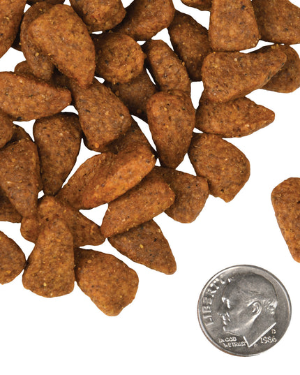 Fromm Four-Star Chicken au Frommage Recipe Food for Dogs - 3 Sizes