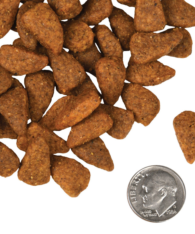 Fromm Four-Star Chicken au Frommage Recipe Food for Dogs - 3 Sizes