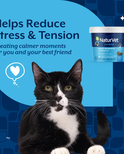 NaturVet Quiet Moments® Calming Soft Chews for Cats - 60 Soft Chews