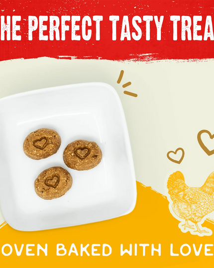 Stella & Chewy's Cage-Free Chicken Raw Coated Biscuits - 9oz/255g