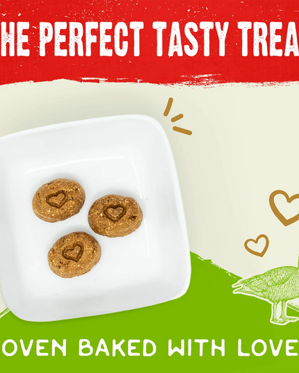 Stella & Chewy's Cage-Free Duck Raw Coated Biscuits 9oz/255g