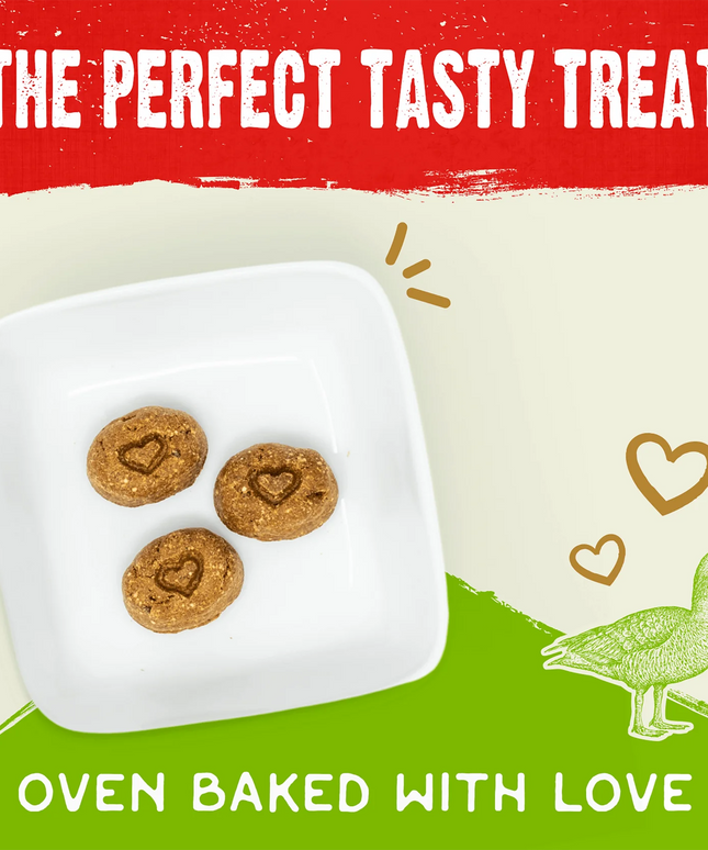 Stella & Chewy's Cage-Free Duck Raw Coated Biscuits 9oz/255g