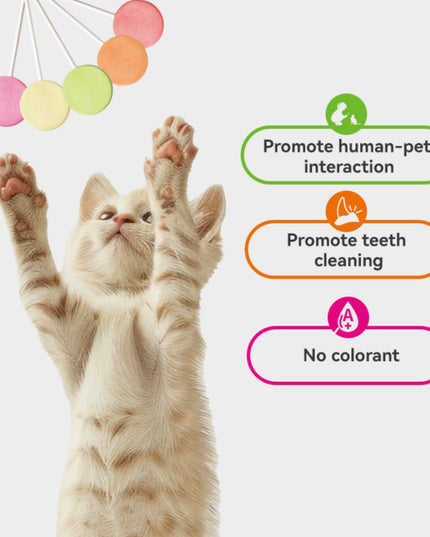 RANOVA Freeze-dried Chicken Lollipop with Paper Stick (5 Flavour)