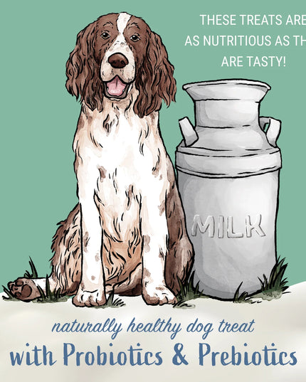 Himalayan Yogurt Sticks - 3 Flavor