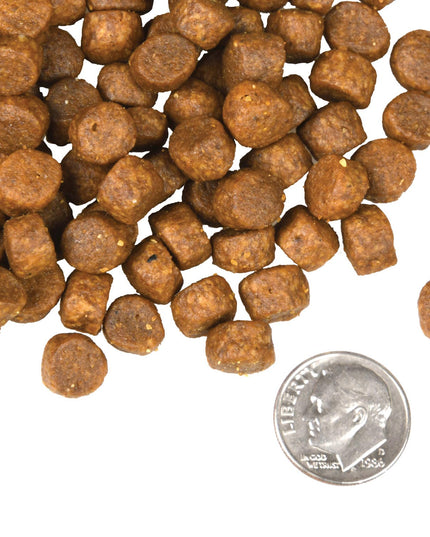 Fromm Four-Star Surf & Turf Food for Dogs - 3 Sizes