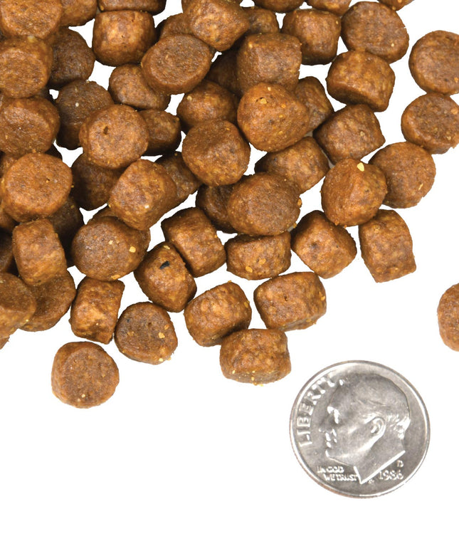 Fromm Four-Star Surf & Turf Food for Dogs - 3 Sizes