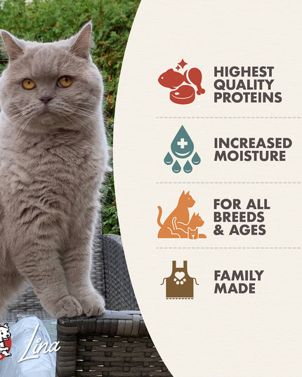 Fromm Four-Star Surf & Turf in Gravy Entrée Canned Food for Cats - 155g/5.5oz