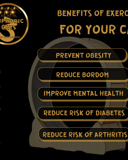 3 Euphoric Cats Cat Wheel