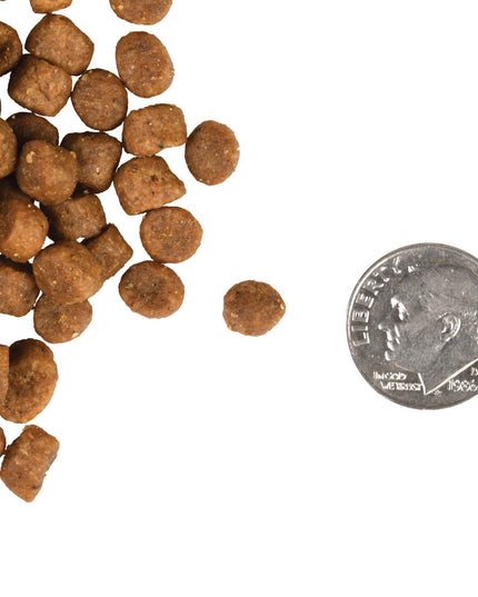 Fromm Gold Kitten Dry Food