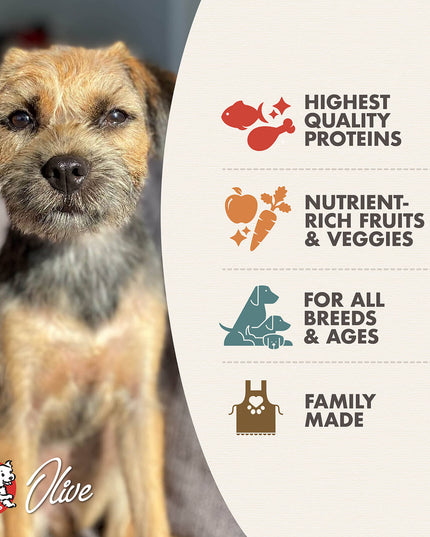 Fromm Four-Star Surf & Turf Food for Dogs - 3 Sizes