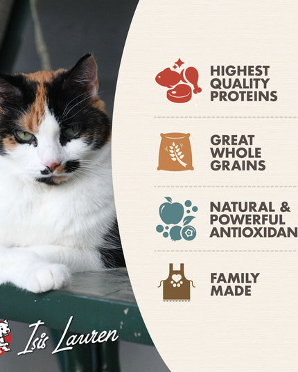 Fromm Gold Adult Cat Dry Food - 2 Sizes